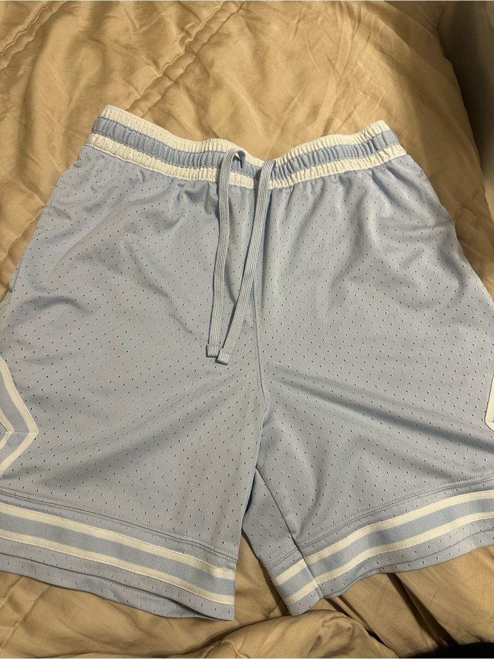 Jordan Light Blue Mesh Athletic Shorts with White Trim